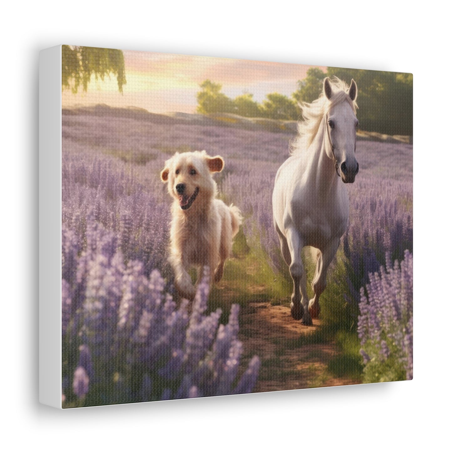 Friends in Lavender 10" x 8" Canvas Print