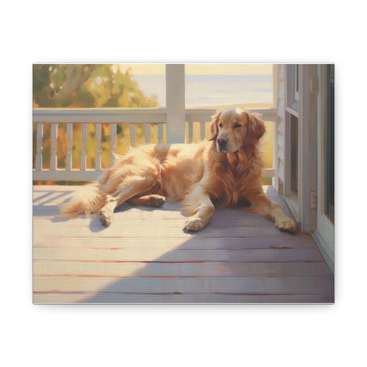 Dogs Resting in the Sun 10 x 8 Canvas Print